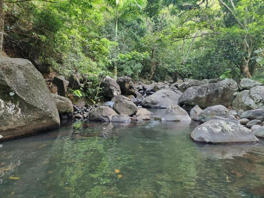 L'Ilet Paradise ปวงต์-นัวร์ ภายนอก รูปภาพ